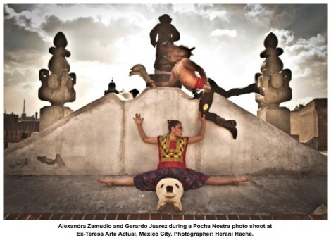 pochaSummerschool2015_calloutpic